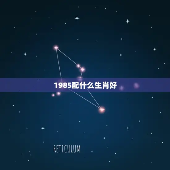 1985配什么生肖好