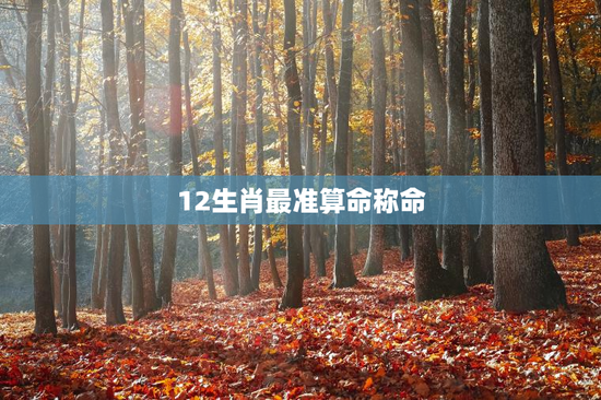 12生肖最准算命称命，12生肖称骨表