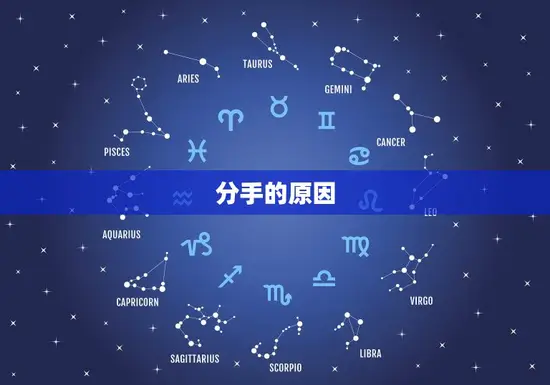 分手的原因