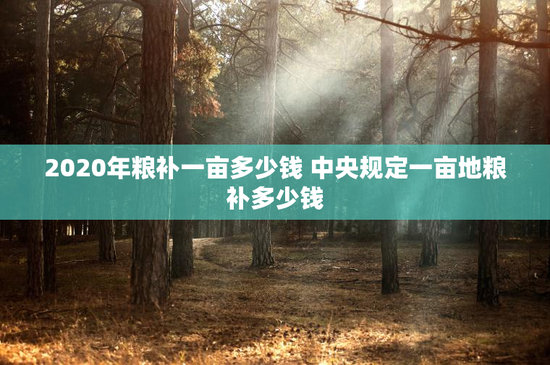 2020年粮补一亩多少钱 中央规定一亩地粮补多少钱