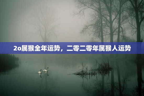 2o属猴全年运势，二零二零年属猴人运势