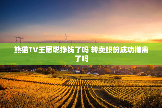 熊猫TV王思聪挣钱了吗 转卖股份成功撤离了吗