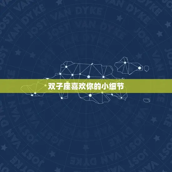 双子座喜欢你的小细节