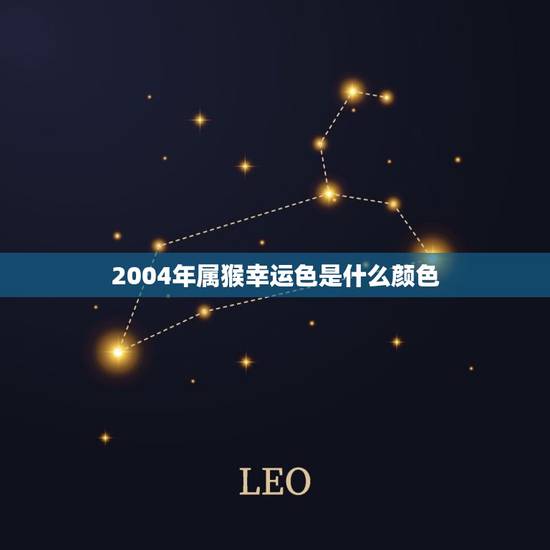 2004年属猴幸运色是什么颜色(介绍猴年守护色)