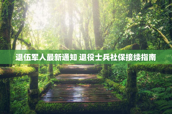 退伍军人最新通知 退役士兵社保接续指南
