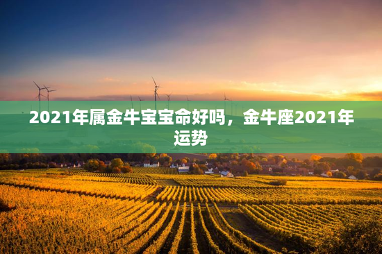 2021年属金牛宝宝命好吗，金牛座2021年运势