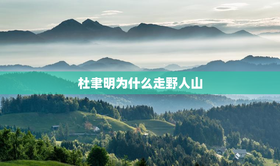 杜聿明为什么走野人山