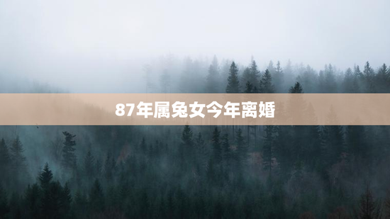 87年属兔女今年离婚