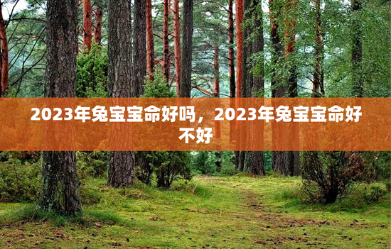 2023年兔宝宝命好吗，2023年兔宝宝命好不好