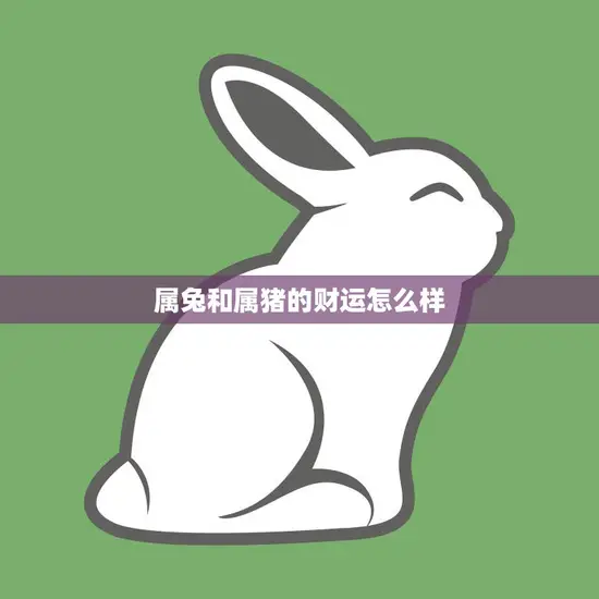 属兔和属猪的财运怎么样(星座运势大揭秘)