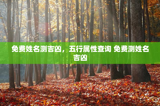 免费姓名测吉凶，五行属性查询 免费测姓名吉凶
