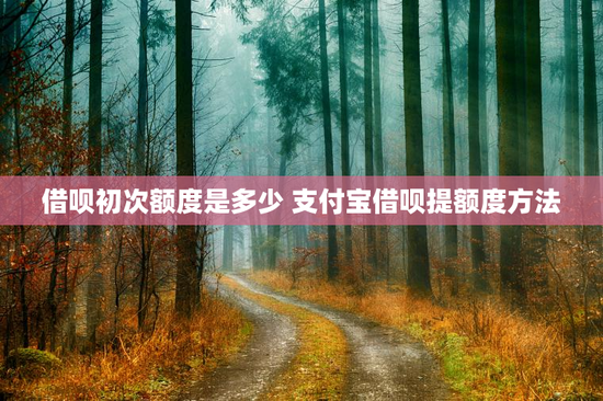 借呗初次额度是多少 支付宝借呗提额度方法