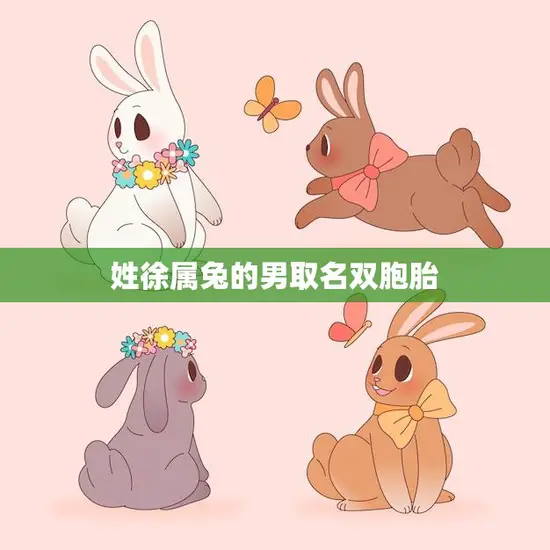 姓徐属兔的男取名双胞胎(如何选择合适的名字)