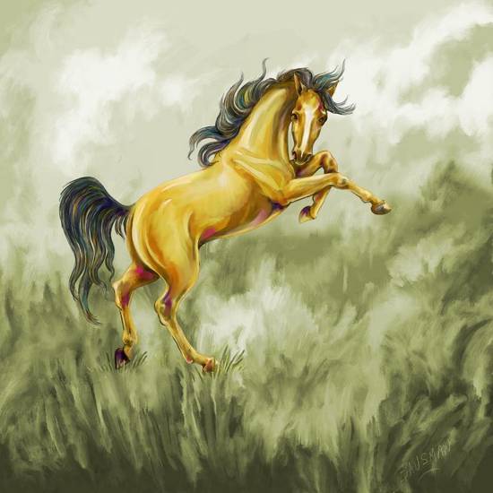 属马人性格优点和缺点女(探究马儿飞腾的性格特点)