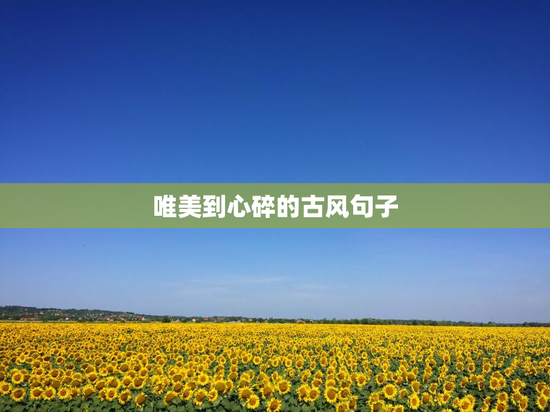 唯美到心碎的古风句子