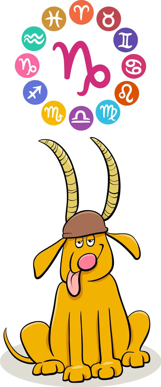 摩羯座6月爱情运势如何(展望是否能在六月找到真爱)