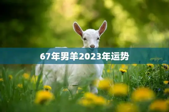 67年男羊2023年运势(事业财运双丰收)