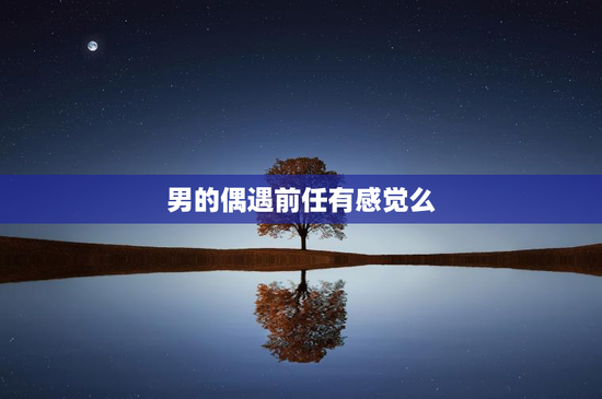 男的偶遇前任有感觉么