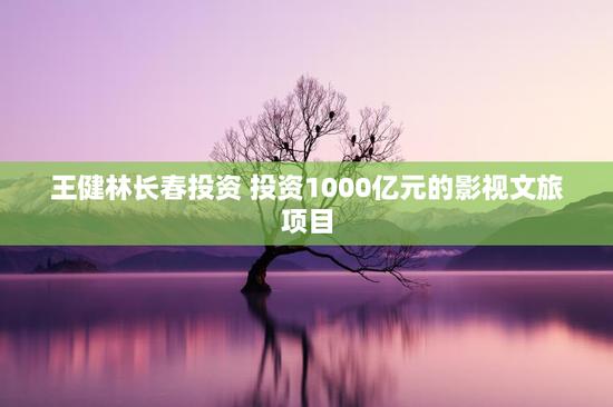 王健林长春投资 投资1000亿元的影视文旅项目