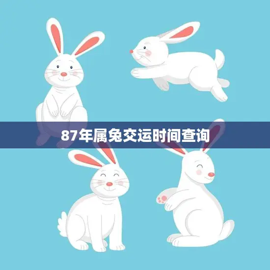 87年属兔交运时间查询(如何查询自己的交运时间)