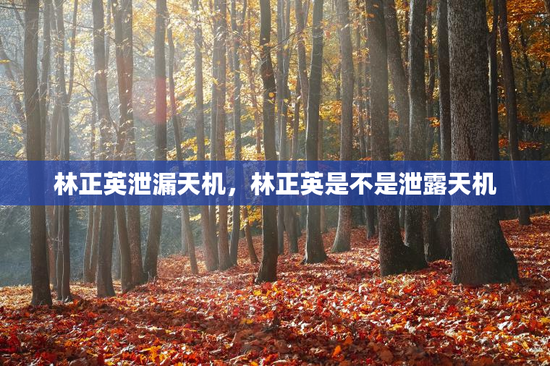 林正英泄漏天机，林正英是不是泄露天机