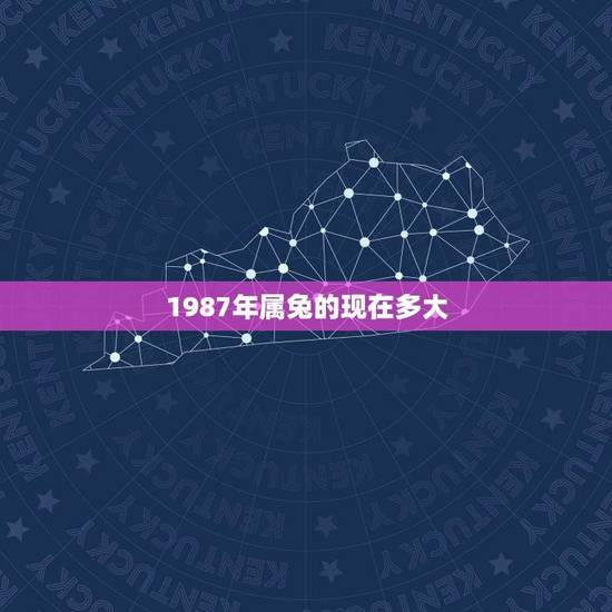 1987年属兔的现在多大(属兔人士的年龄计算方法)