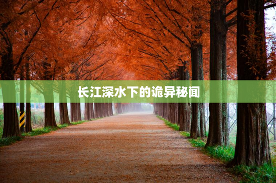 长江深水下的诡异秘闻
