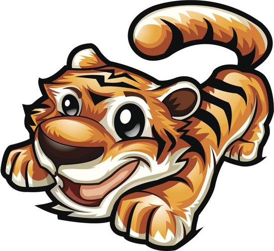 属虎的今年多大年龄20(如何迎接新的一年)