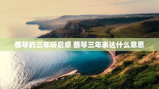 蔡琴的三年听后感 蔡琴三年表达什么意思