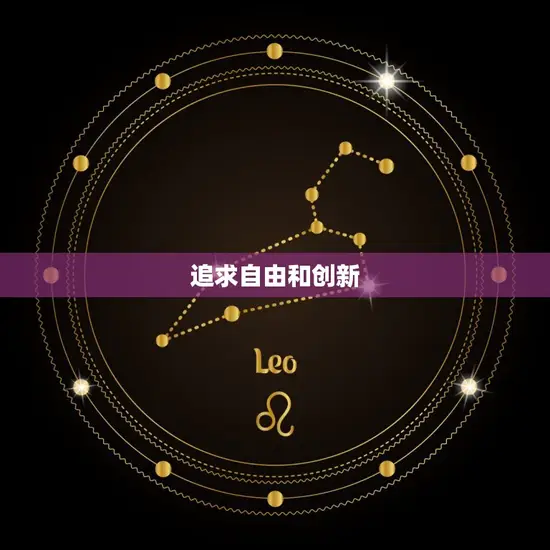 追求自由和创新