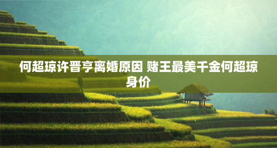 何超琼许晋亨离婚原因 赌王最美千金何超琼身价