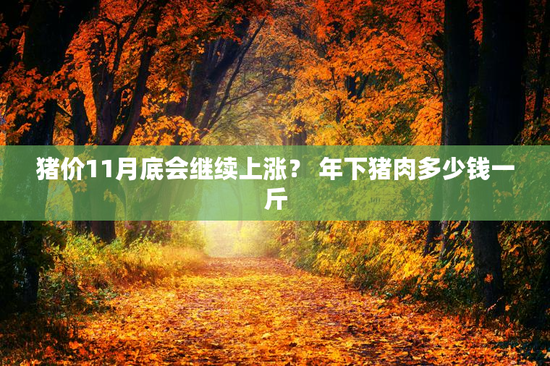 猪价11月底会继续上涨？ 年下猪肉多少钱一斤