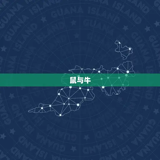 鼠与牛