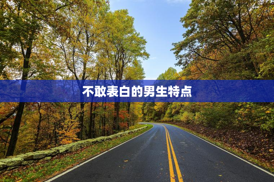 不敢表白的男生特点