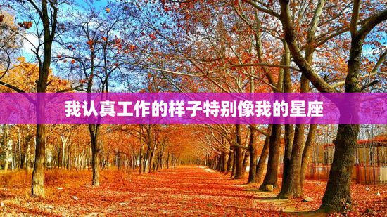 我认真工作的样子特别像我的星座