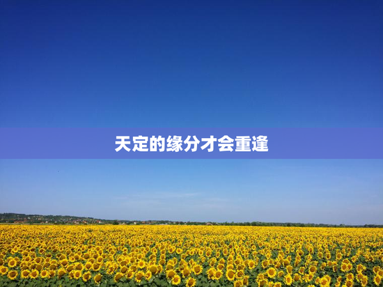 天定的缘分才会重逢