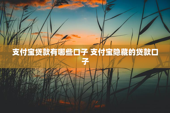 支付宝贷款有哪些口子 支付宝隐藏的贷款口子
