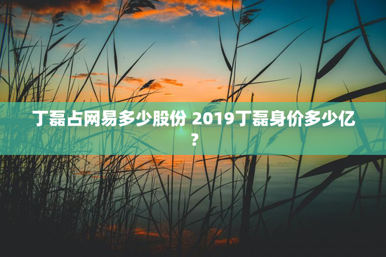 丁磊占网易多少股份 2019丁磊身价多少亿？