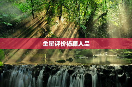 金星评价杨颖人品