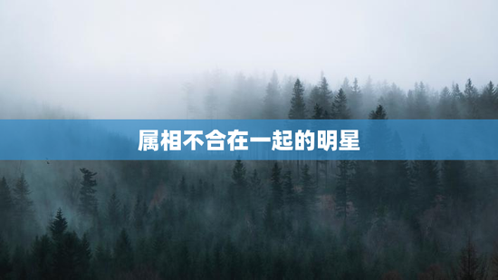 属相不合在一起的明星，属相不合在一起的明星是谁