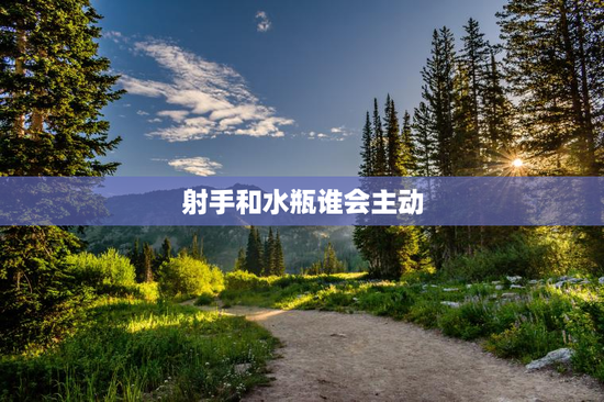 射手和水瓶谁会主动