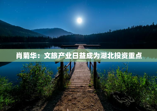 肖菊华：文旅产业日益成为湖北投资重点