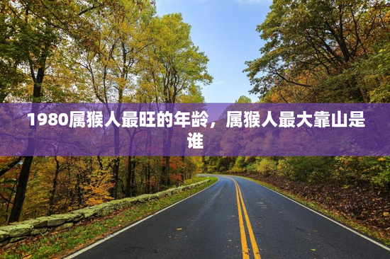 1980属猴人最旺的年龄，属猴人最大靠山是谁