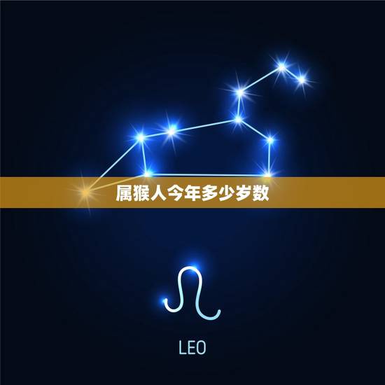 属猴人今年多少岁数