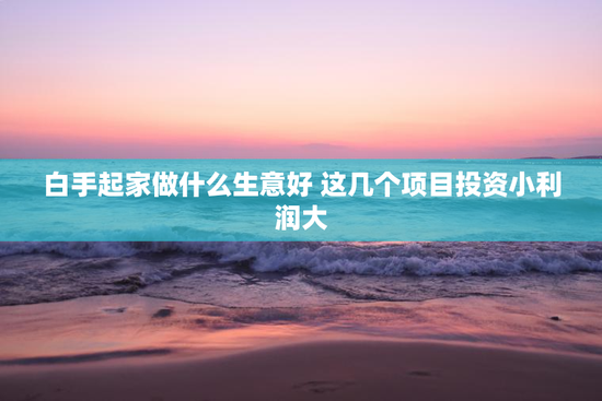 白手起家做什么生意好 这几个项目投资小利润大
