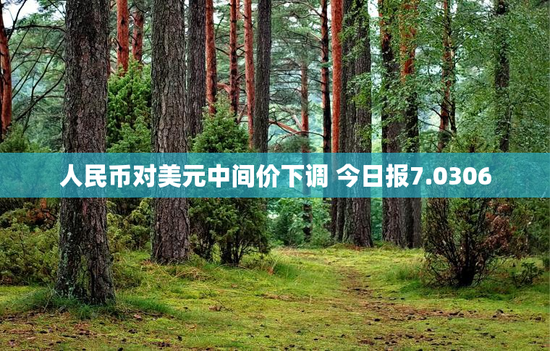人民币对美元中间价下调 今日报7.0306