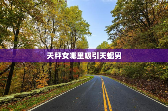 天秤女哪里吸引天蝎男