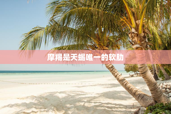 摩羯是天蝎唯一的软肋