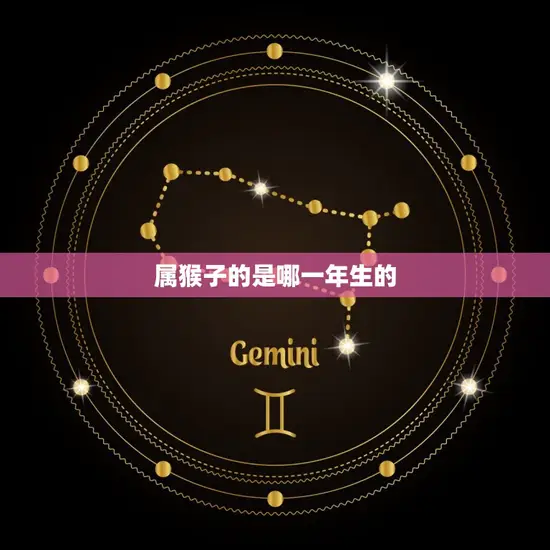 属猴子的是哪一年生的