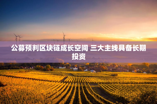 公募预判区块链成长空间 三大主线具备长期投资